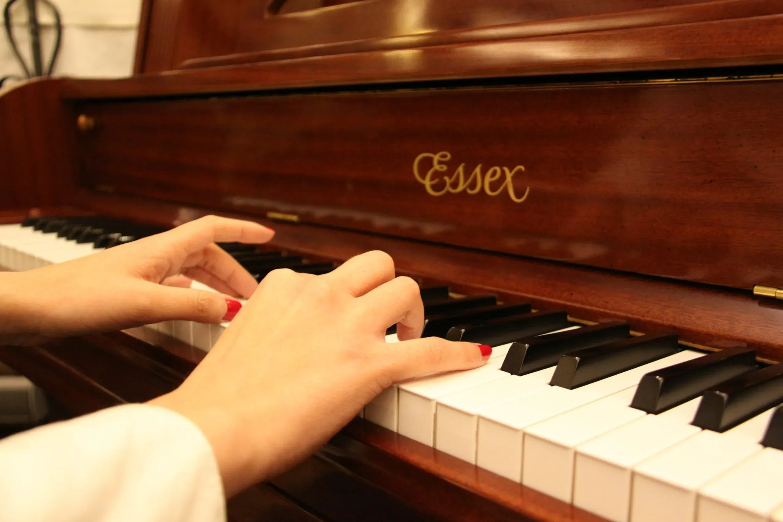 Cenas especiales con música en directo en Rossini