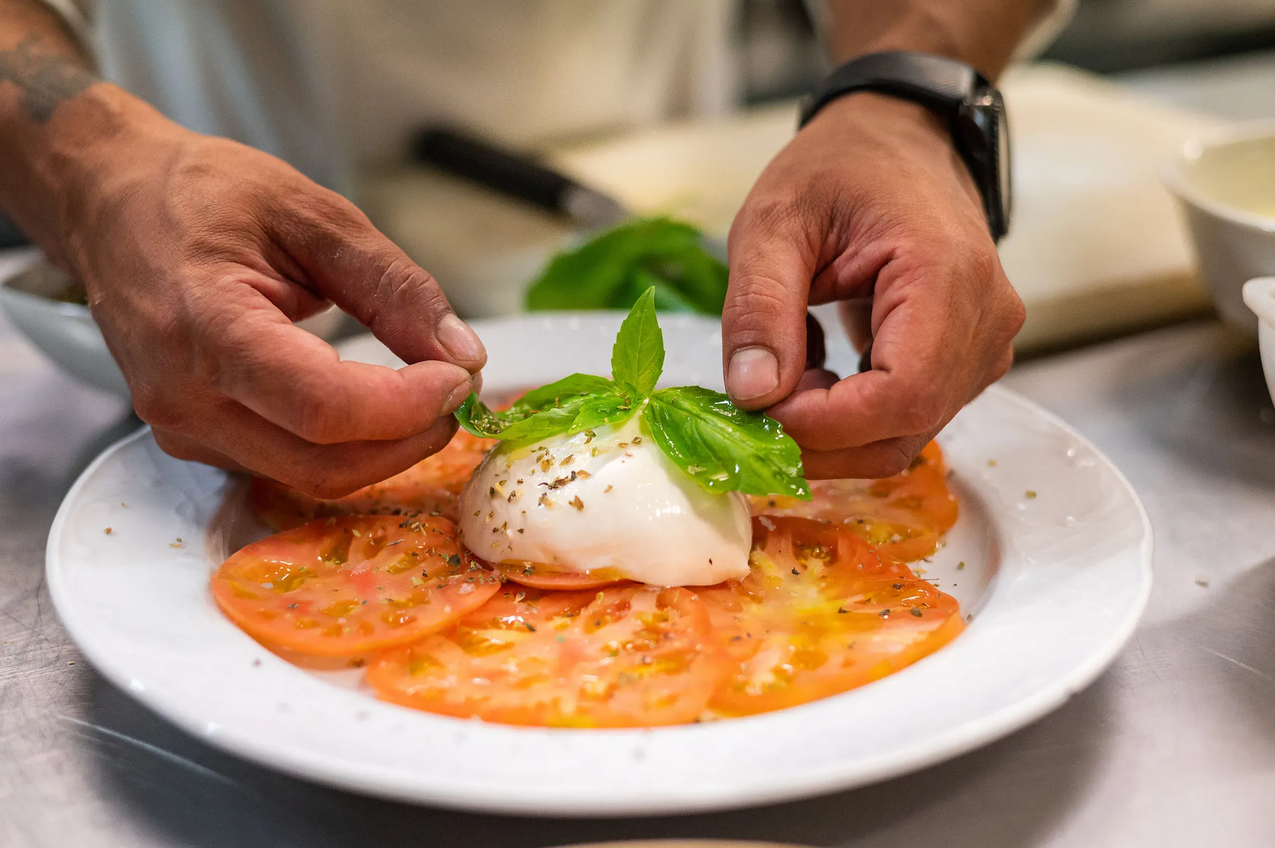 Platos de comida vegetariana de nuestra carta